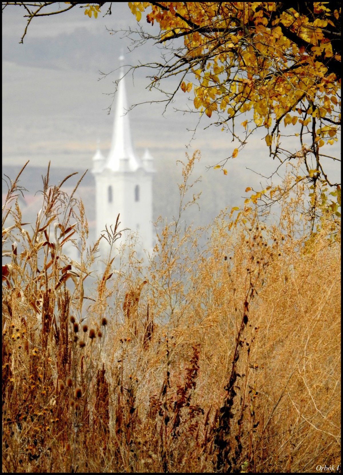 Nyárádmenti táj •  Fotó: Orbók Ildikó