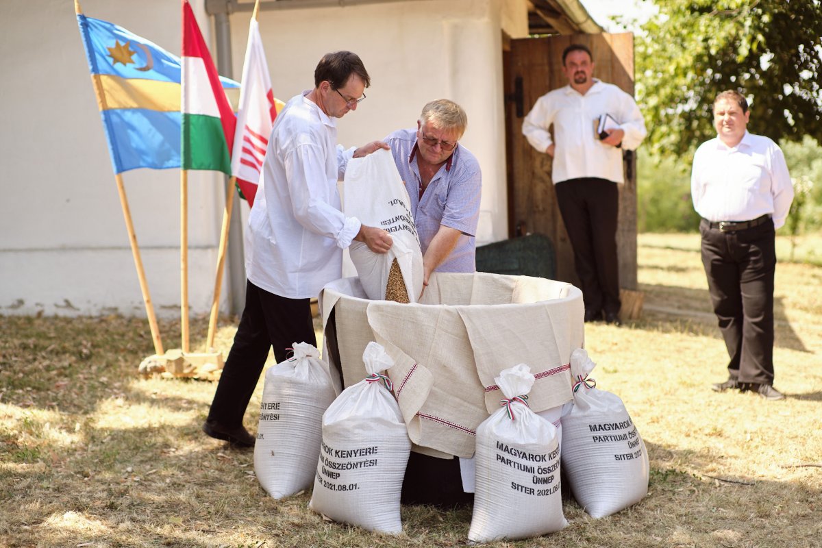 Havran Gábor és Ványi Attila a közösbe öntik az Ér-menti búzát •  Fotó: Sütő Éva