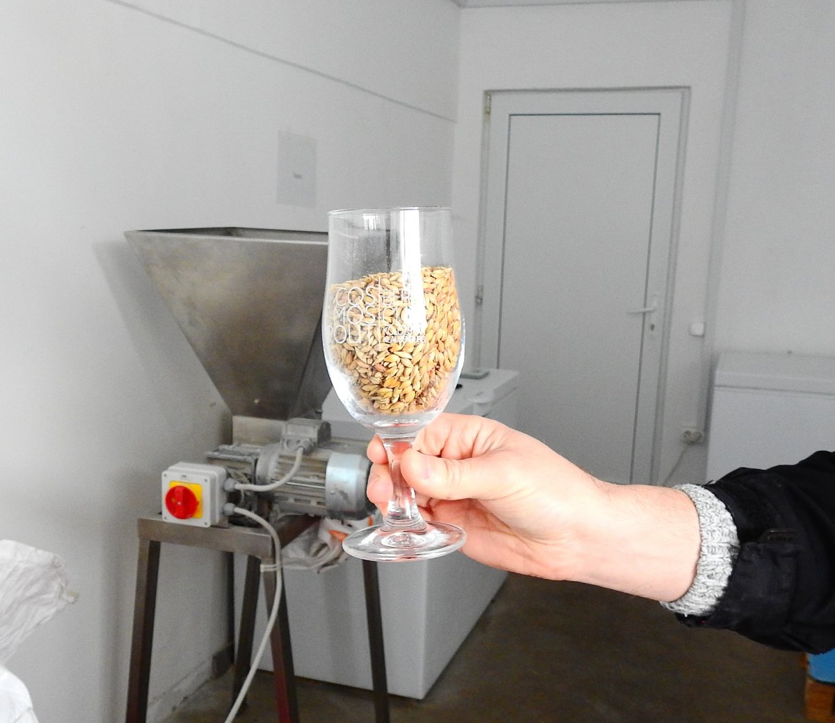 Főzésre váró sörárpa-maláta. A jó minőségű alapanyagot külföldről vásárolják &bullet;  Fotó: Makkay József