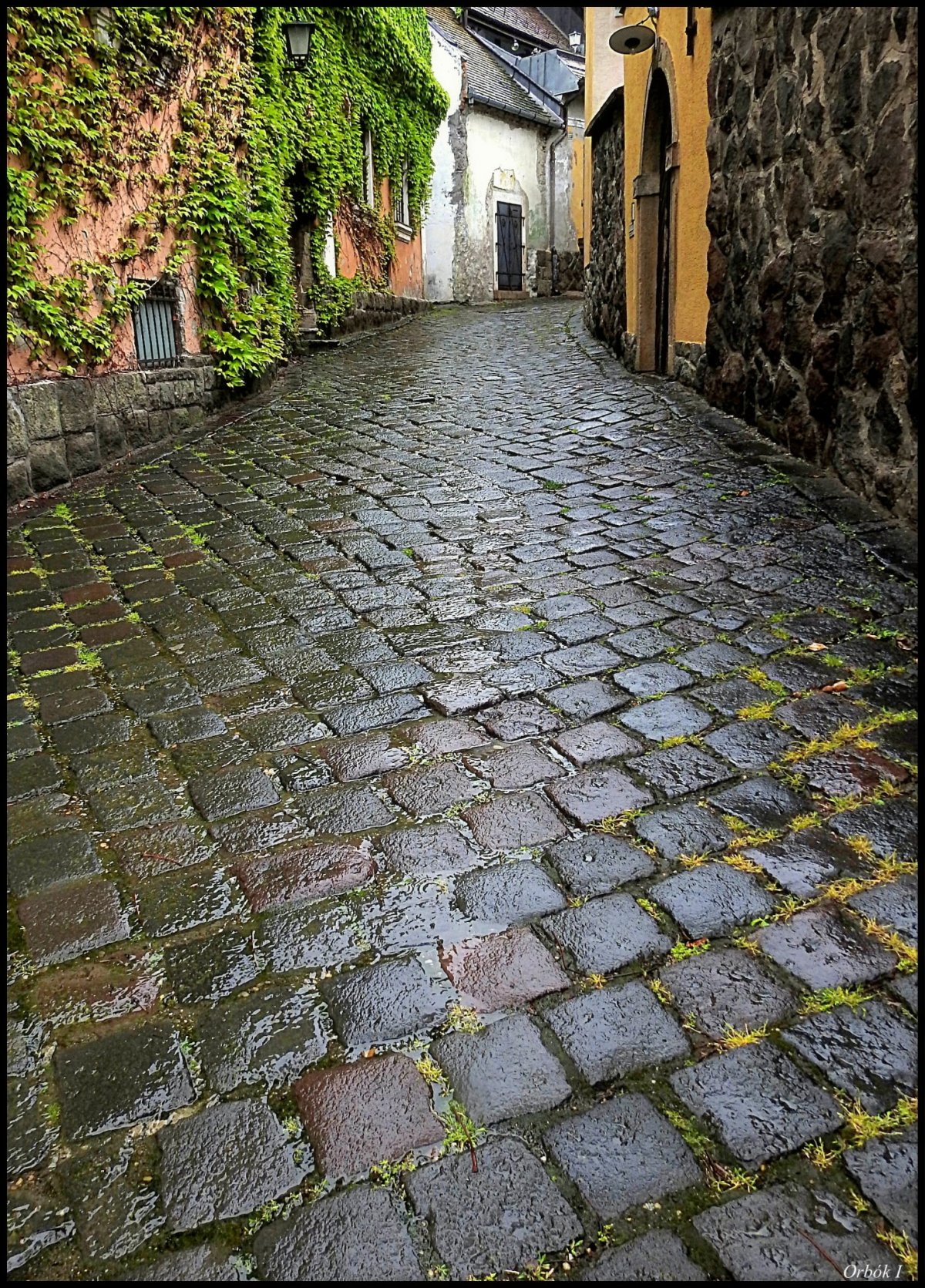 Szentendrén készült pillanatfelvétel: Tanúkövek •  Fotó: Orbók Ildikó