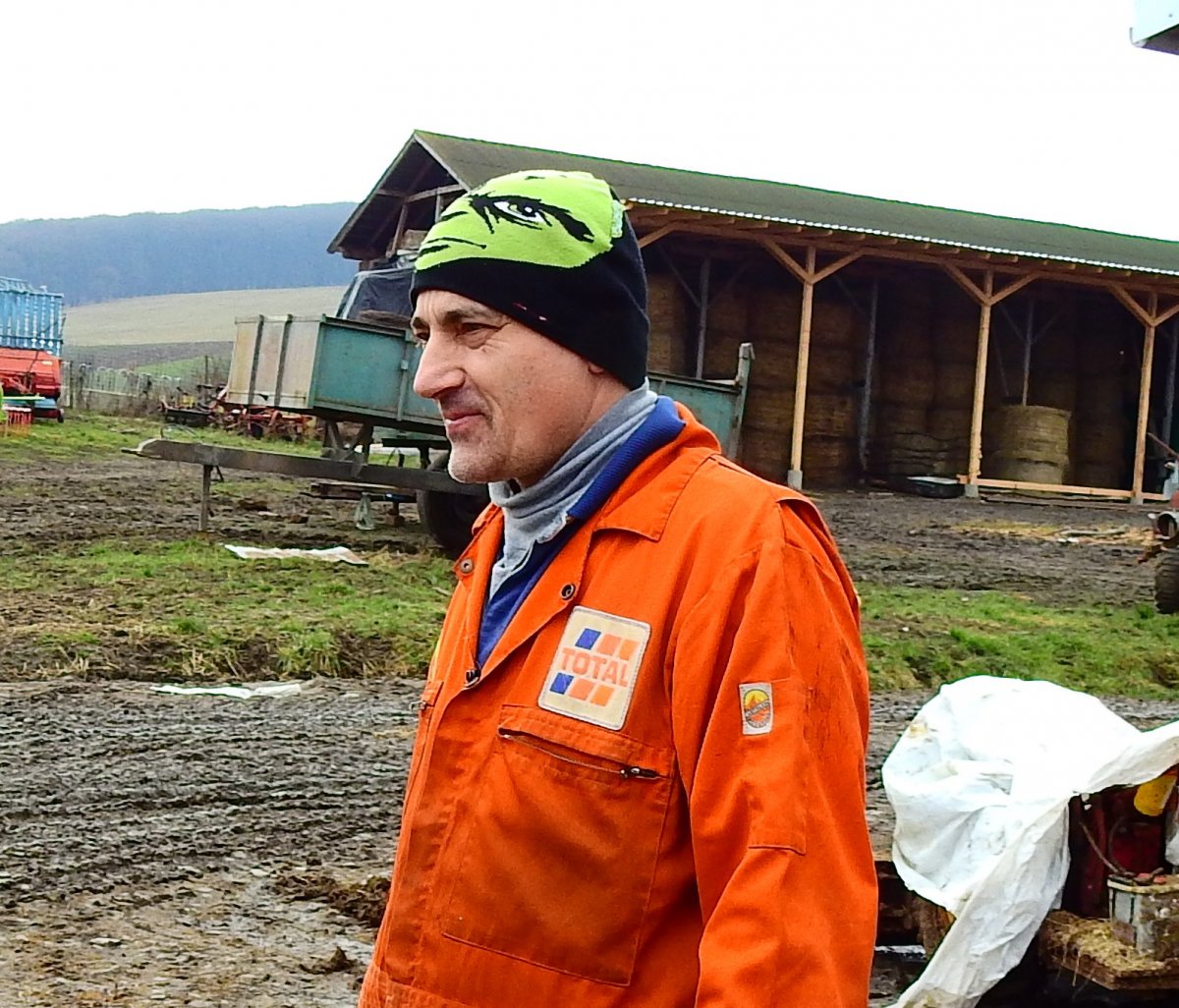 Szőcs Imre egész nap a tehénfarmján tartózkodik •  Fotó: Makkay József
