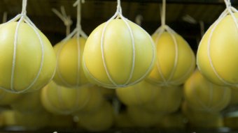 Európa-szerte ismertek a mezőségi sajtok