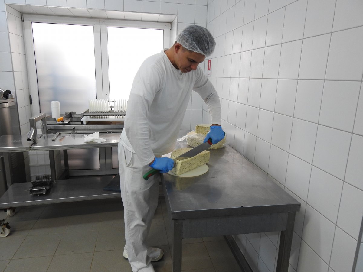 Sajtszeletelés. Kiskereskedelmi kiszerelésbe kerülő sajtdarabkák •  Fotó: Makkay József