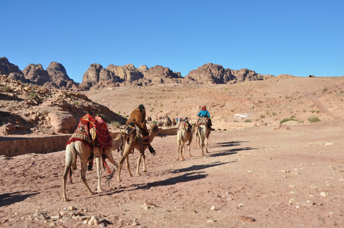 Jordániai csendélet tevegelő arabokkal. A közel-keleti ország vonzó turisztikai célpont az európaiak számára is • Fotó: Samu Tamás Gergő