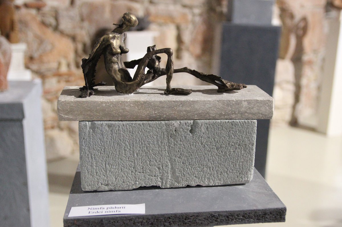 Erdei nimfa •  Fotó: Jakab Mónika