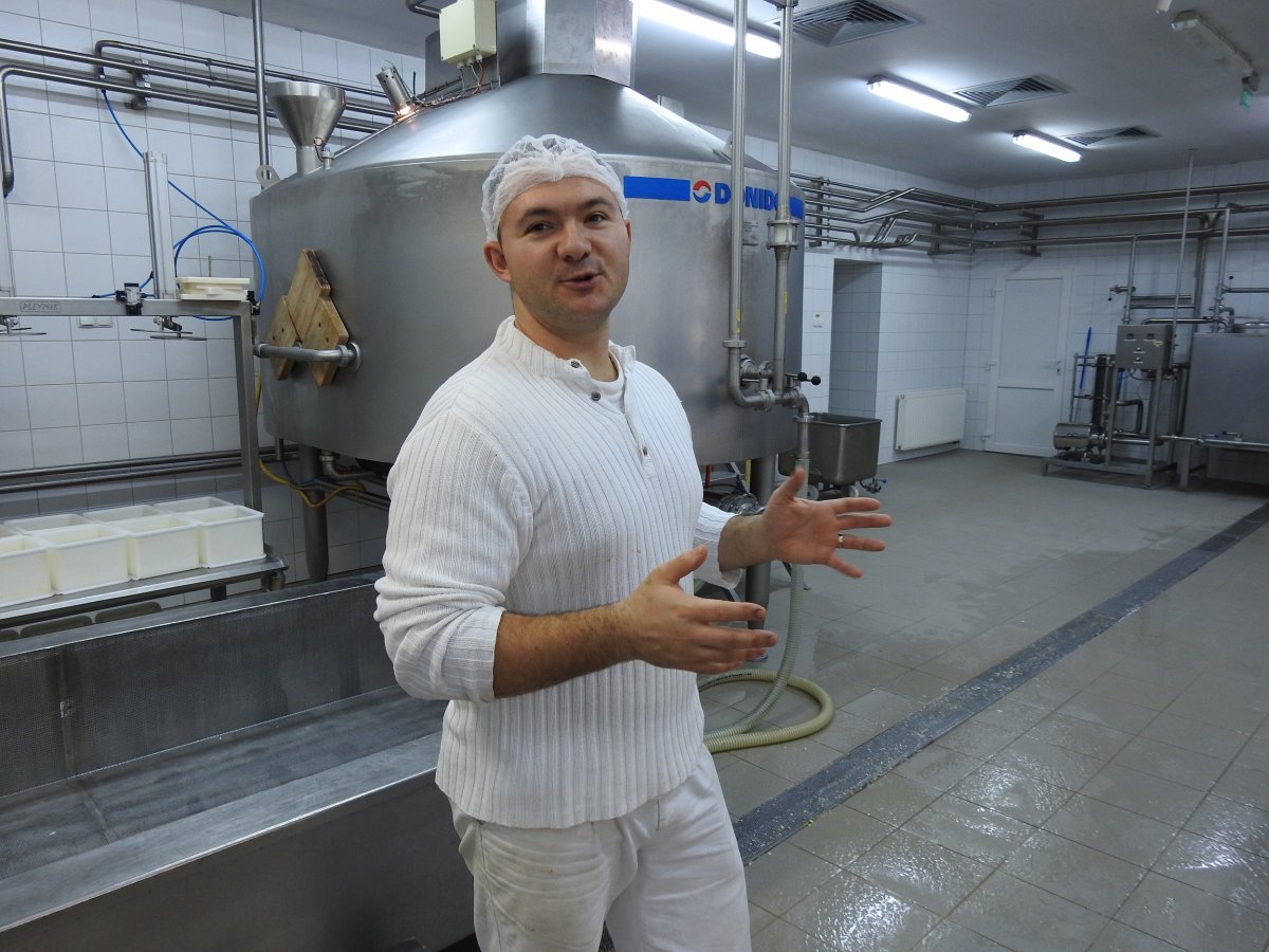 Szőcs Lóránd egy svájci sajtkészítő kisüzemben sajátította el a sajtkészítés tudományát •  Fotó: Makkay József