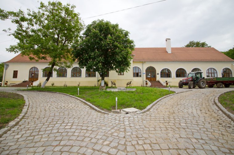 Ottomány: romokból kinőtt kulturális erőd