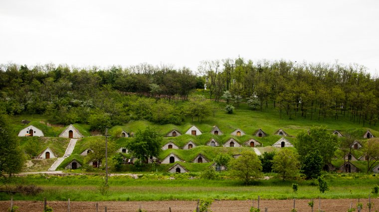 Hercegkúti borkóstoló: a Tokaji a borok királynője