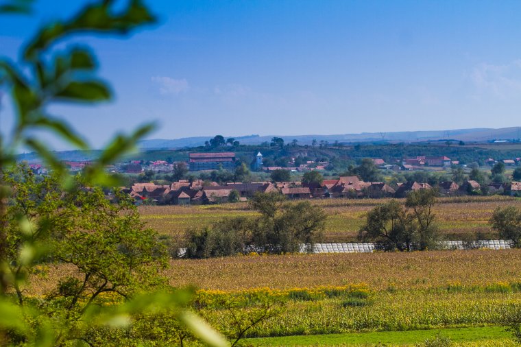 Keményen megbüntetett lázadók Kerelőszentpálon