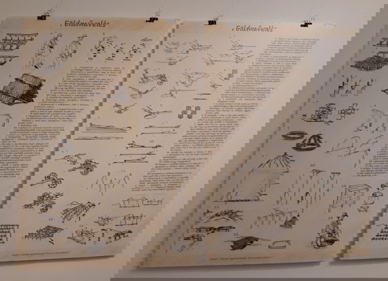 Dr. Kós Károly néprajzkutató: a nagy fa árnyékában