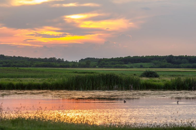 Nyűg-e vagy haszon a Natura 2000 övezet?