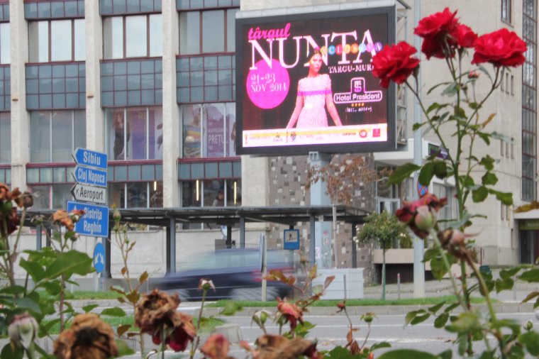 Homokot eladni a sivatagban