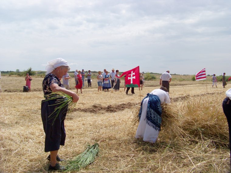 Az aratás az élet ünnepe