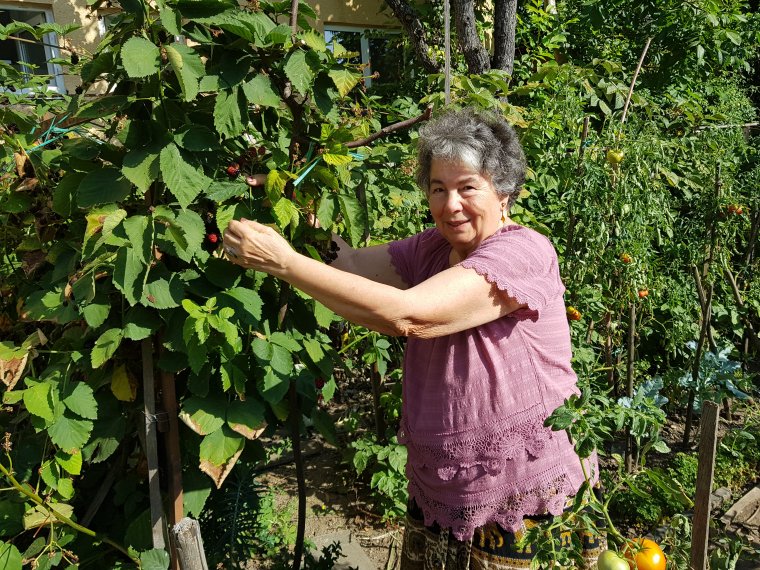Választás kérdése az egészséges élelmiszer – beszélgetés T. Veress Évával a biotermesztésről