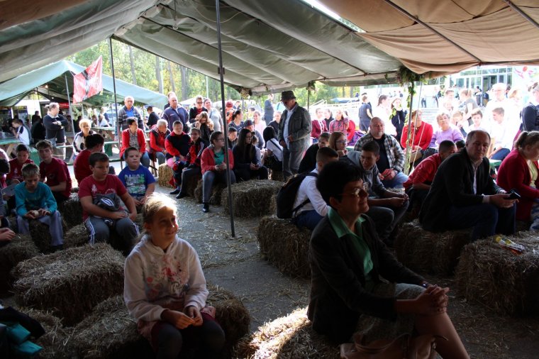 Zenta: táncháztalálkozó és Sokadalom a Tisza-partján