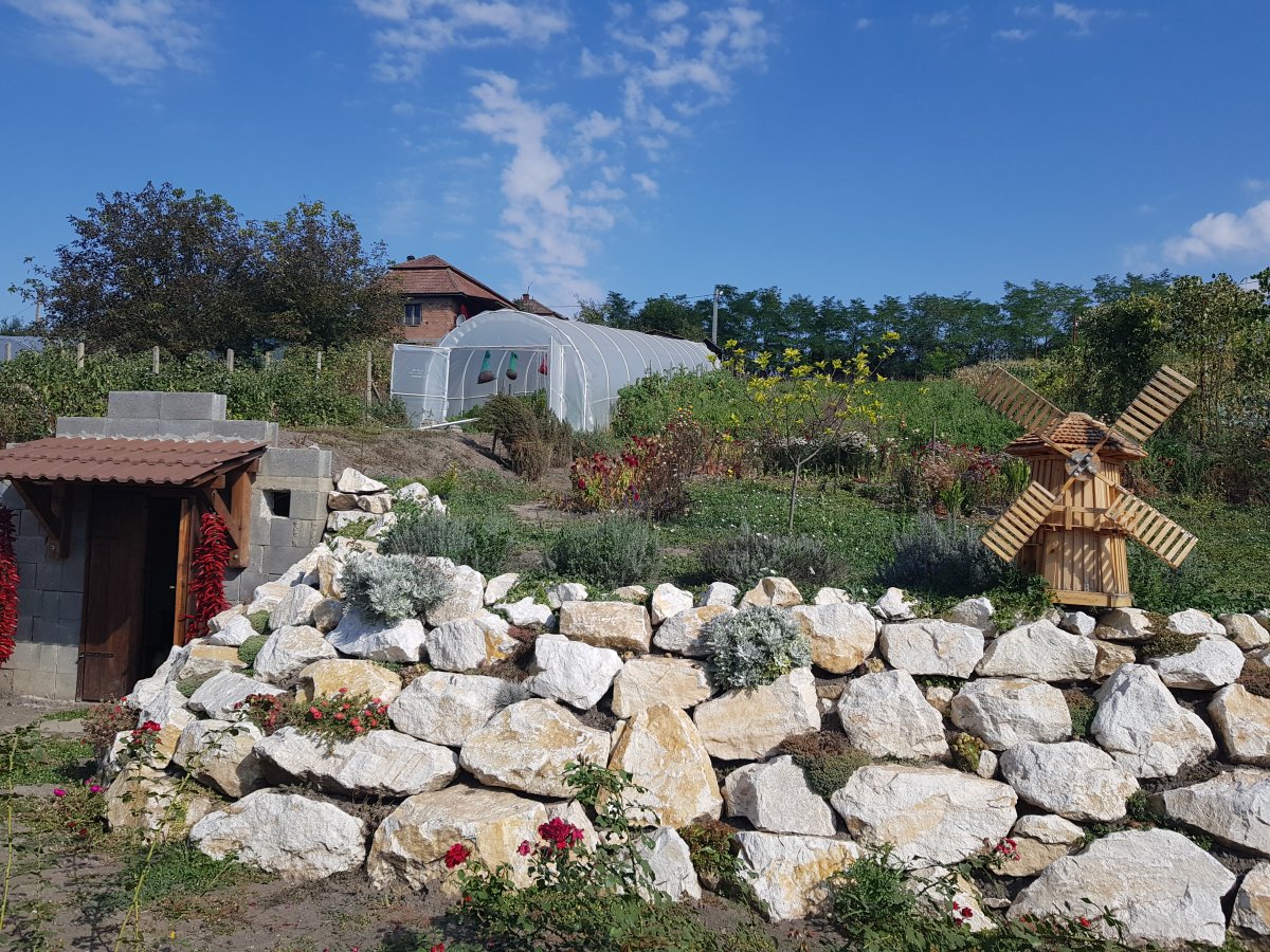 A háztáji kertben termelik meg a befőzéshez szükséges alapanyagokat &bullet;  Fotó: Makkay József