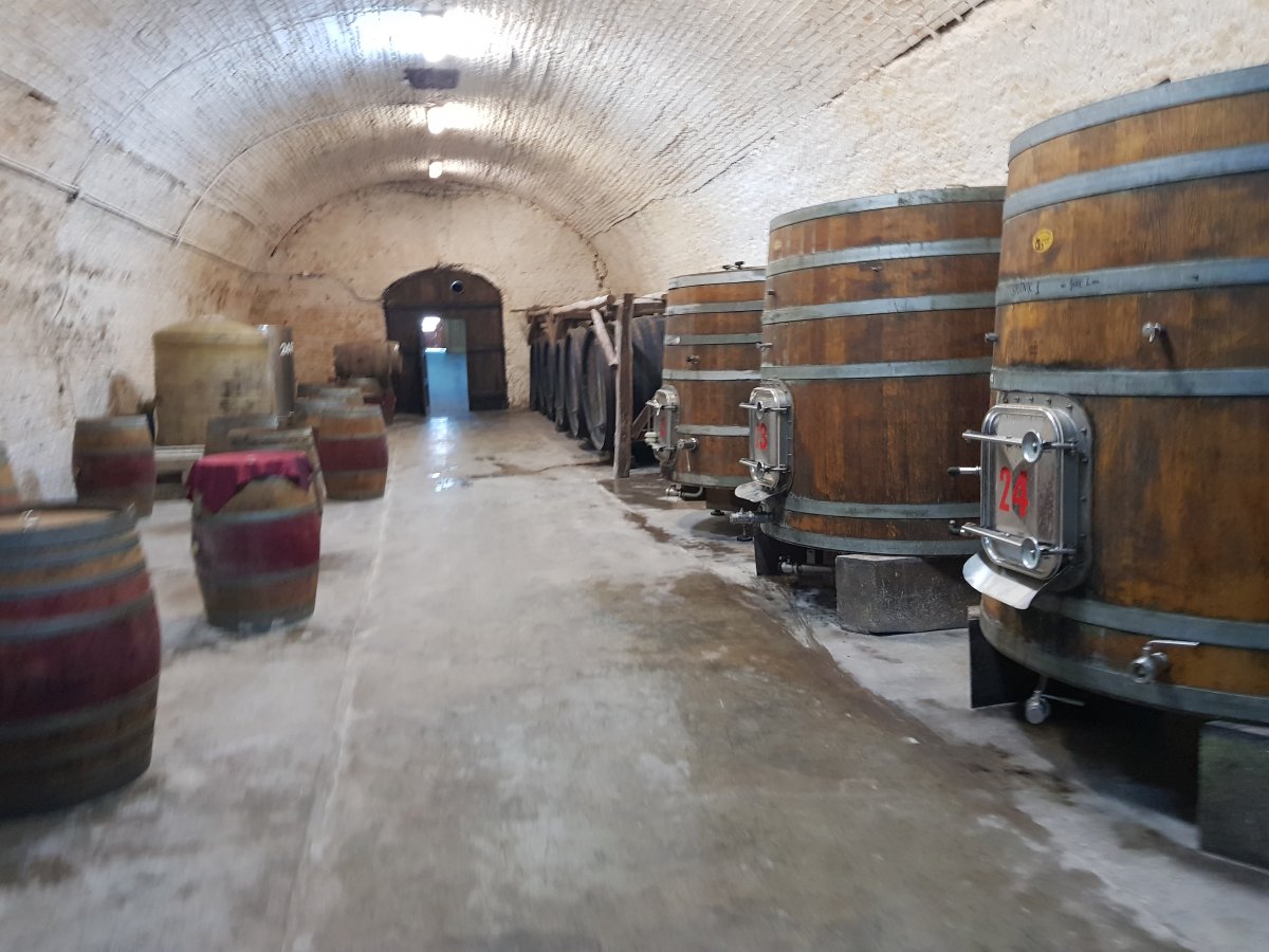 A Károlyi-pince egyik csarnoka &bullet;  Fotó: Makkay József