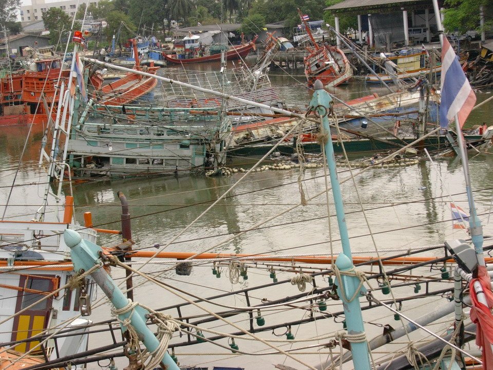 Egy halászkikötő látképe a természeti katasztrófa után. A legtöbb halászhajót és csónakot a szökőár tette tönkre &bullet;  Fotó: Somogyi Zsolt