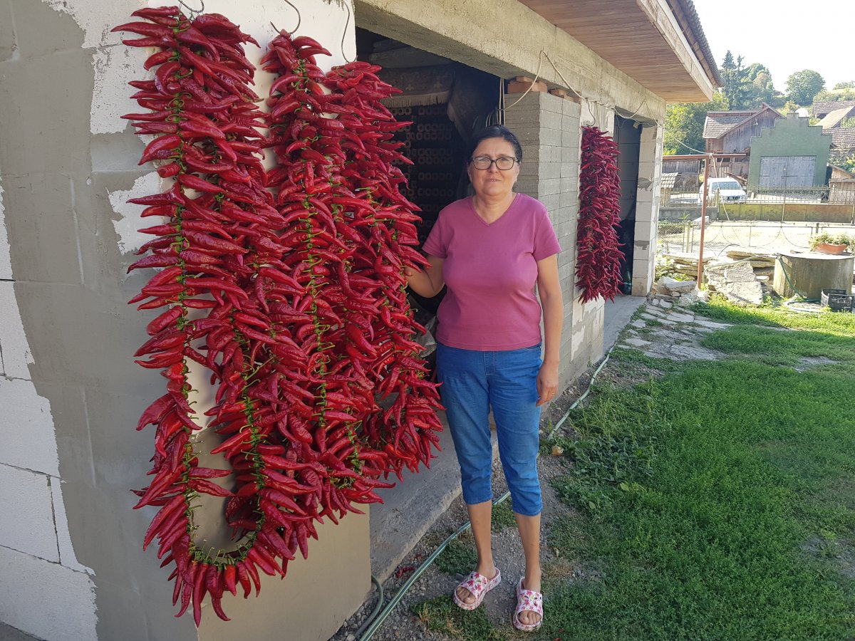 A gazdaasszony mutatja az őrlésre váró, száradó fűszerpaprikát &bullet;  Fotó: Makkay József