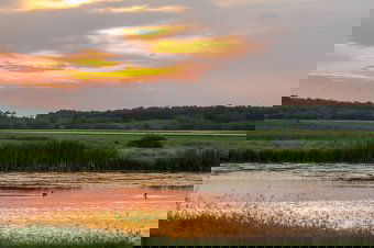 Nyűg-e vagy haszon a Natura 2000 övezet?