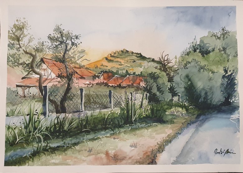 Magyarfenesi utcarészlet 