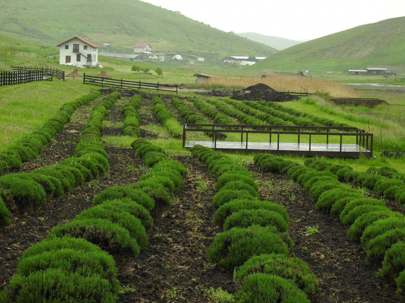 A Valkai-farm a Kolozsi Gazdakör telkével határos •  Fotó: Makkay József