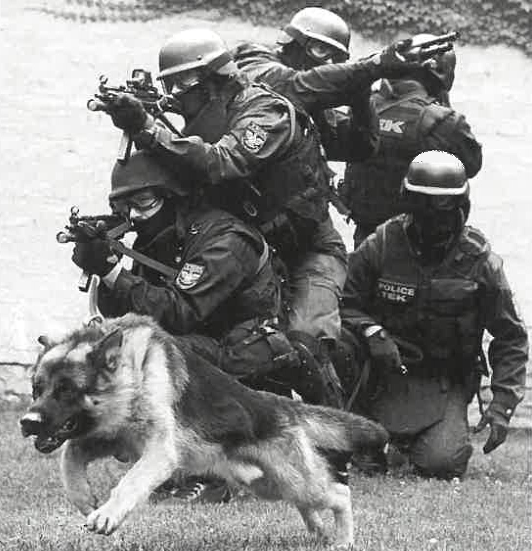 •  Fotó: Police.hu