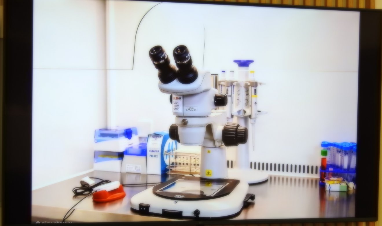 Az új  klinikai részleg berendezését képernyőn tekintette meg a közönség •  Fotó: Makkay József