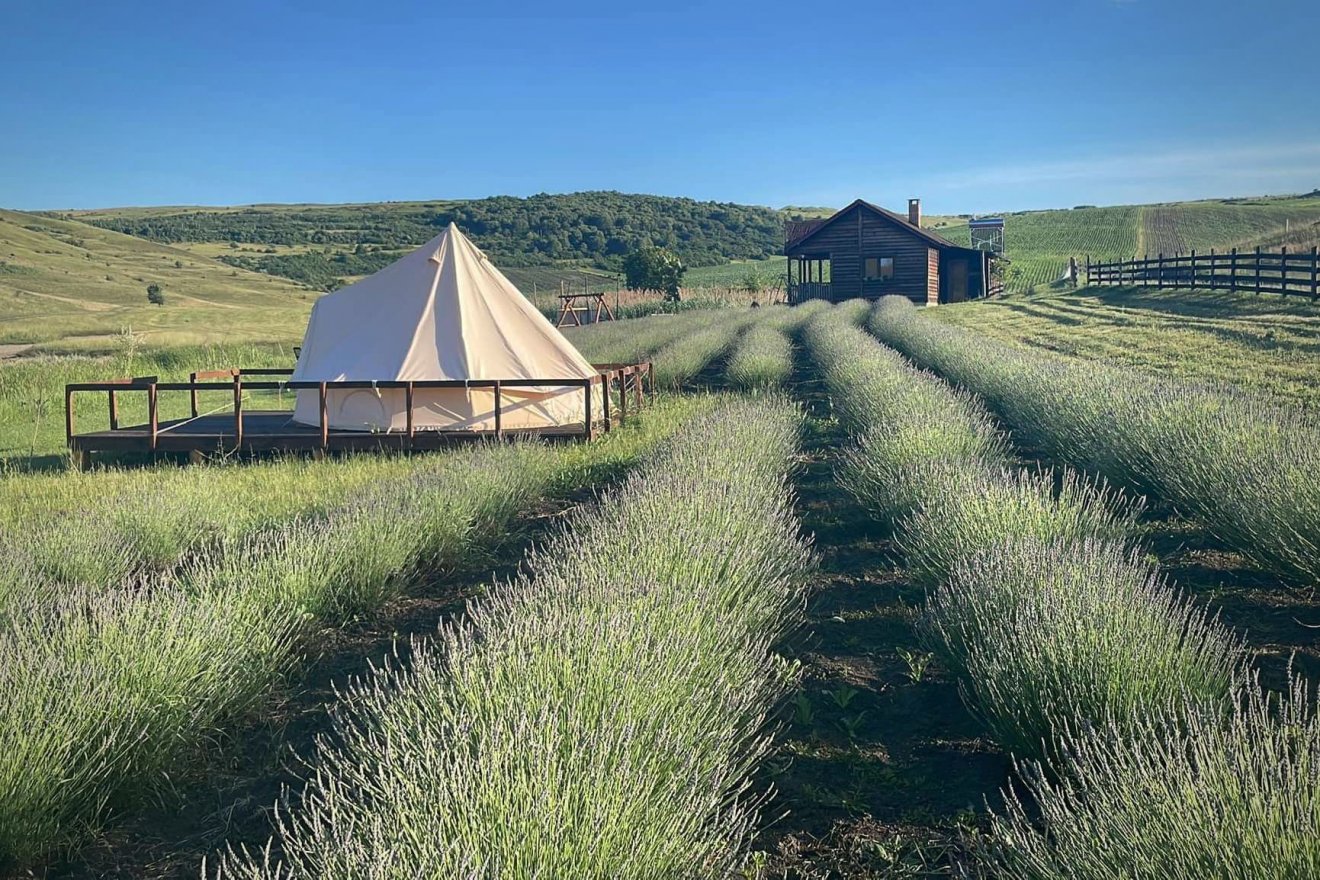A levendulafarmon előre berendezett sátrakban is fogadnak vendégeket •  Fotó: Country Living Farm