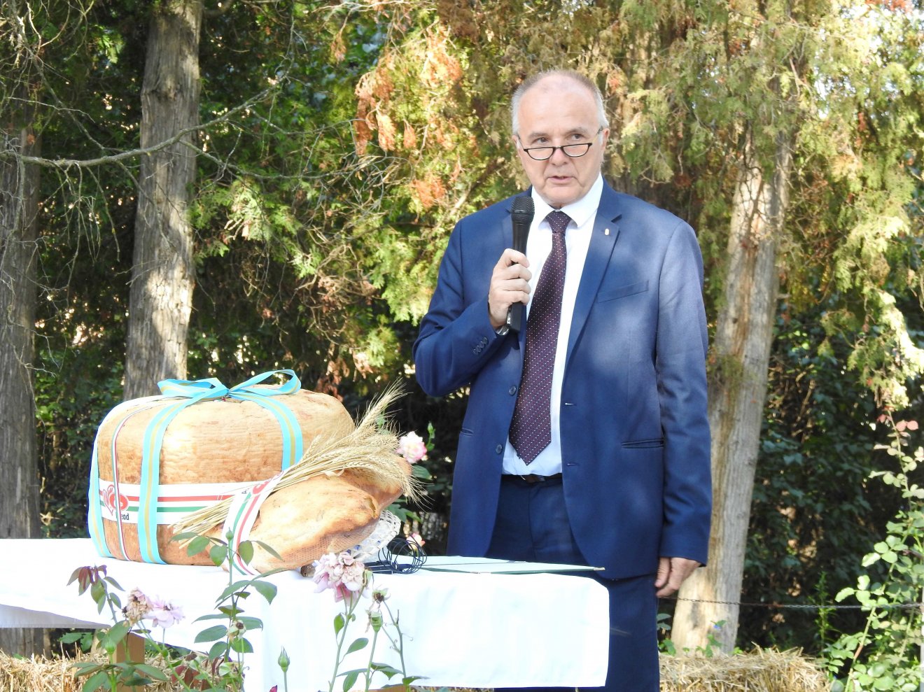 Magyarország bukaresti nagykövetségének mezőgazdasági és környezetvédelmi attaséja, Sándor Tibor László •  Fotó: Makkay József