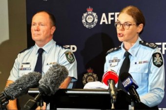 Másfél ezer rendbeli gyermekbántalmazással vádolnak egy ausztrál pedofil férfit