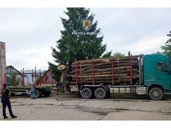 Sorra buknak le a Szilágyságban a fatolvajok