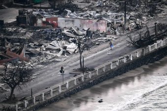 Hawaii tűzvész: elismerte érintettségét az áramszolgáltató, de a cég szerint a felelősség a tűzoltóságot terheli