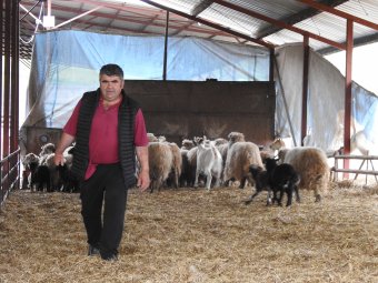 Kolozskarai tapasztalat: a sikeres gazdálkodás kis házzal és nagy istállóval indul