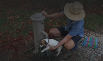 Újabb melegrekordok dőltek meg Franciaországban