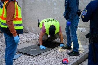 Három hét alatt 300 ezer adag kábítószert foglalt le a magyar rendőrség