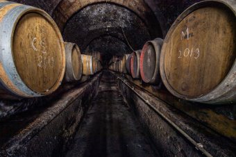 Népi hagyományok, borászat és pálinkafőzés – szeptemberi gazdarendezvények Szatmárban