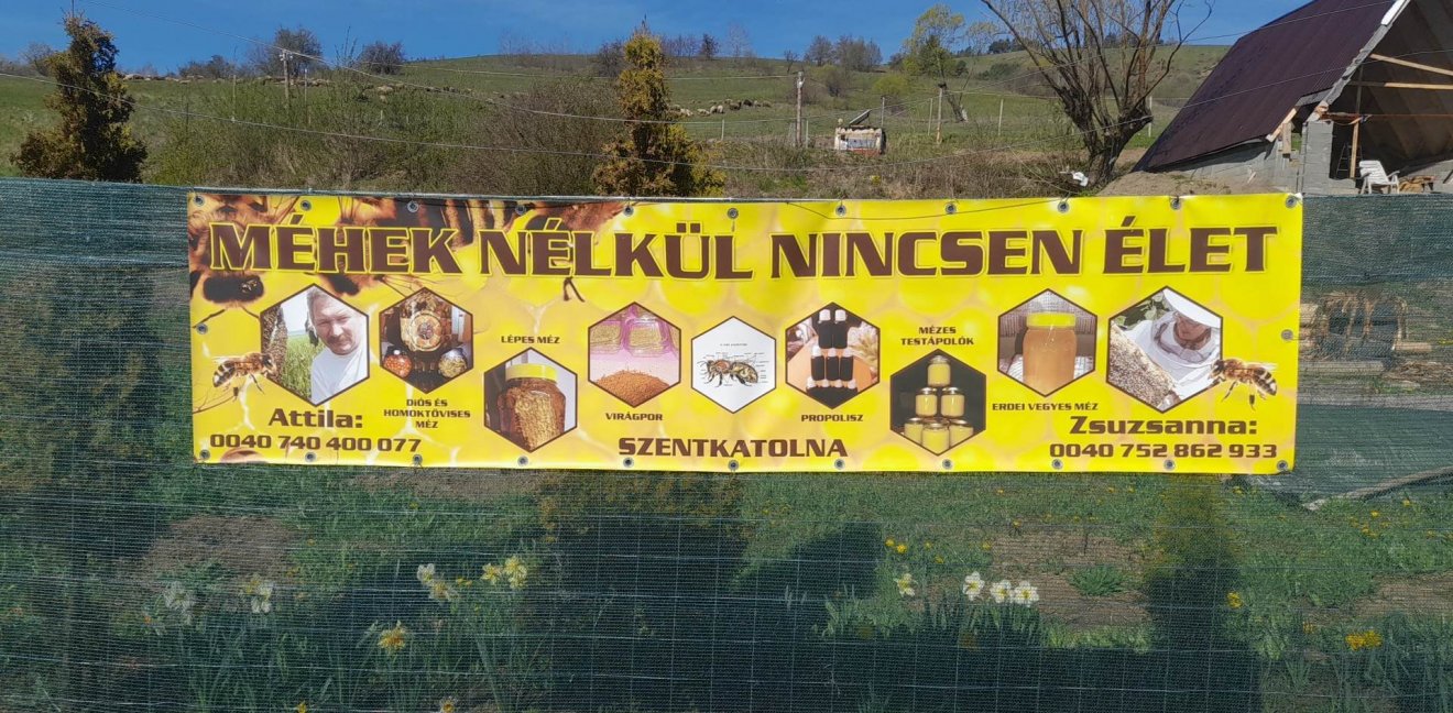 A kézdiszéki méhésztanya  Katrosa könyékén •  Fotó: Facebook/ Csákány Attila