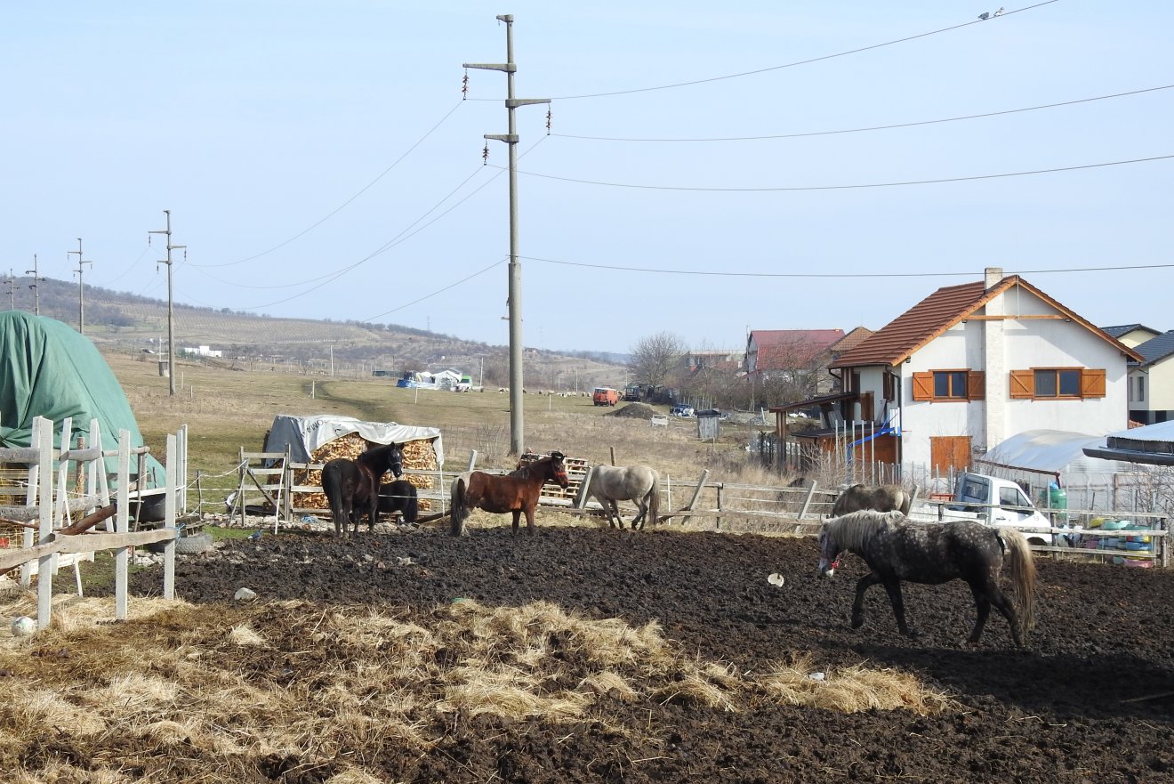 Kolozsvár utolsó házai. A gyorsütemű ingatlanfejlesztás ma már nem ismer határokat •  Fotó: Makkay József