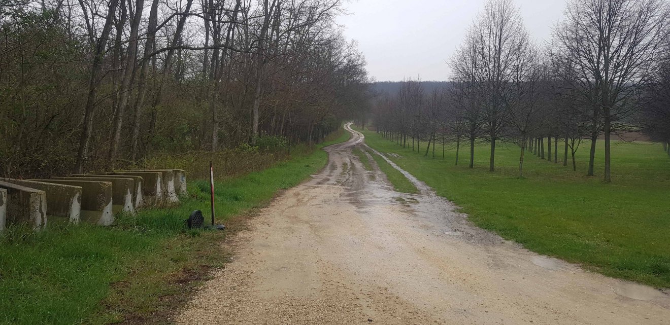 Földút az  osztrák–magyar határ mentén •  Fotó: Makkay József