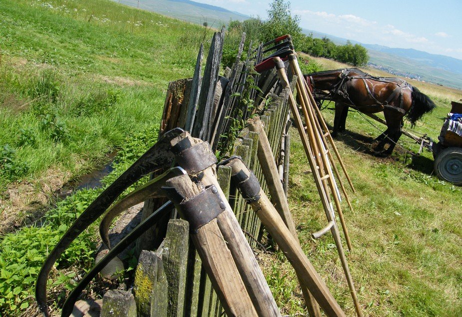 •  Fotó: Partiumigazda.ro
