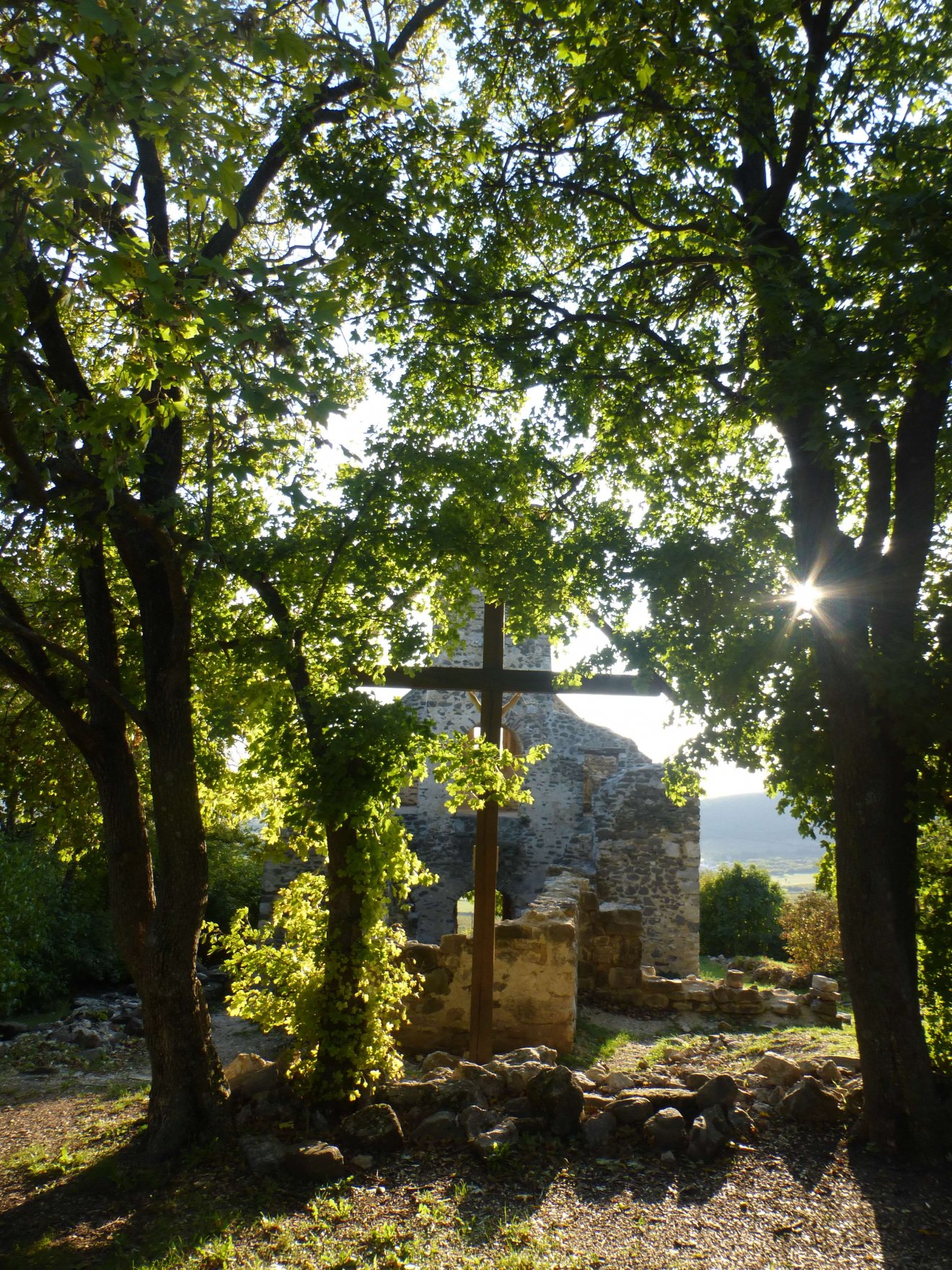 Szentantalfán szőlőültetvények, borospincék között vezet fel az út a hegyre a Szent Balázs templomromhoz •  Fotó: Csermák Judit