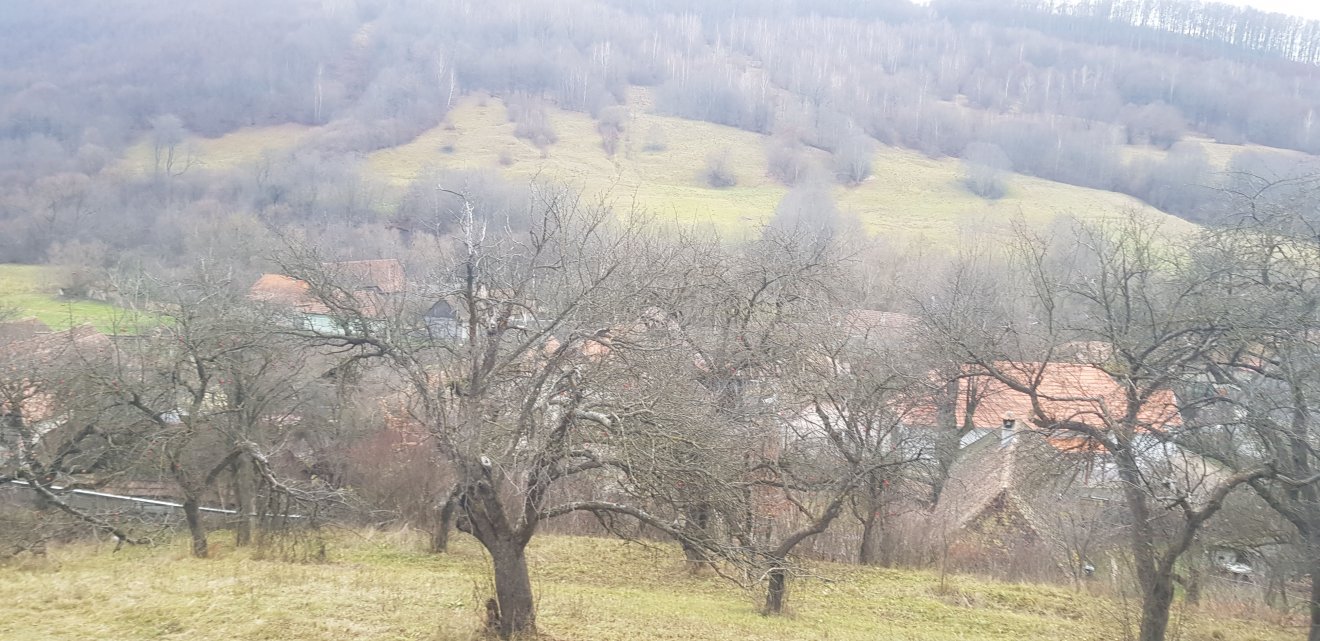 Zalánpataki látkép. A brit uralkodót rabul ejtette a székelyföldi táj és a természet •  Fotó: Makkay József