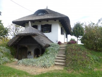 Kilátás a Vináriumból: kulturális séta Lendván