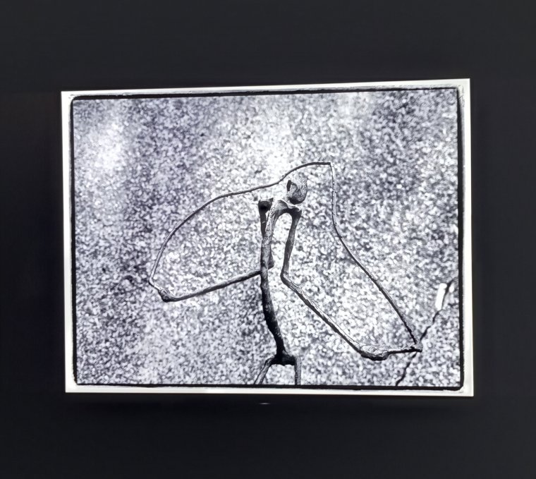 Szobrok tánca: visszatérés az egyszerűséghez – rendhagyó képzőművészeti kiállítás Kolozsváron