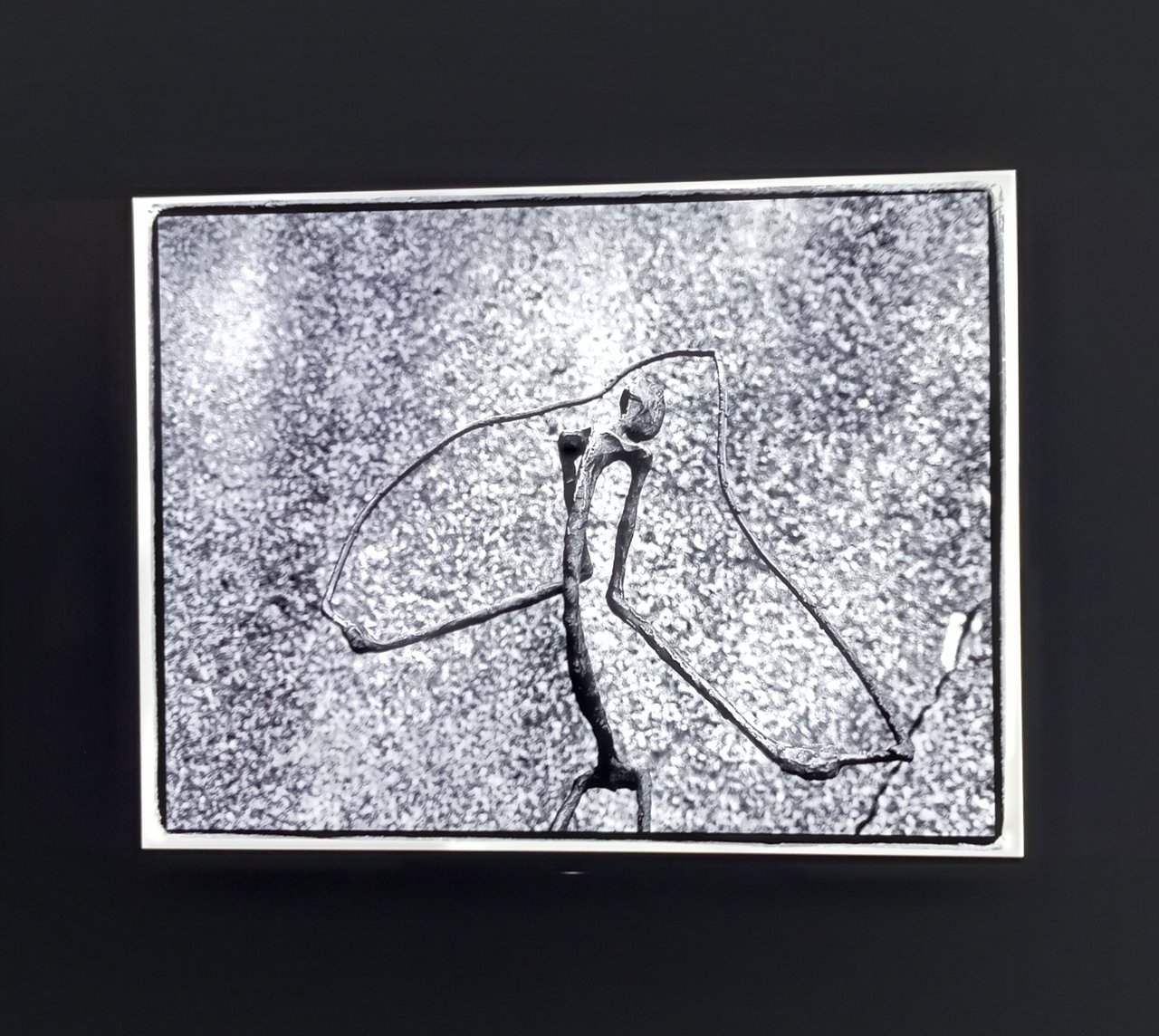 • Fotó: Nánó Csaba