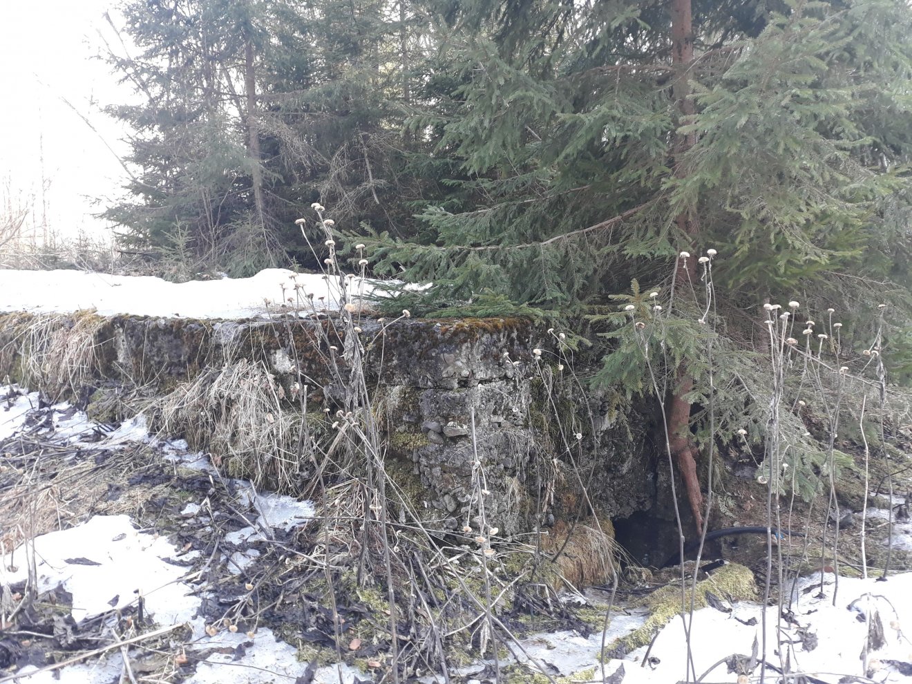 A Horthy-kastélyból napjainkra néhány falmaradvány maradt •  Fotó: Szucher Ervin