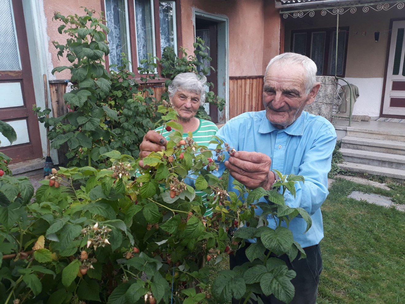 Antalék tisztán emlékeznek a kastélyra ás annak helyiségeire •  Fotó: Szucher Ervin