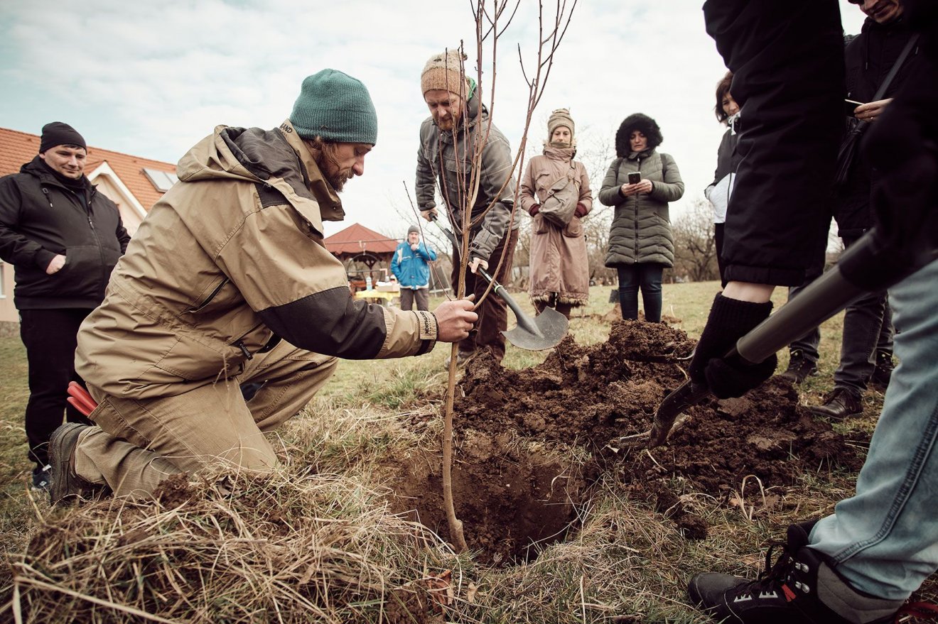 Tanasi József kertészmérnök szerint újra fel kell fedezni az értékes régi magyar fajtákat •  Fotó: Sütő Éva