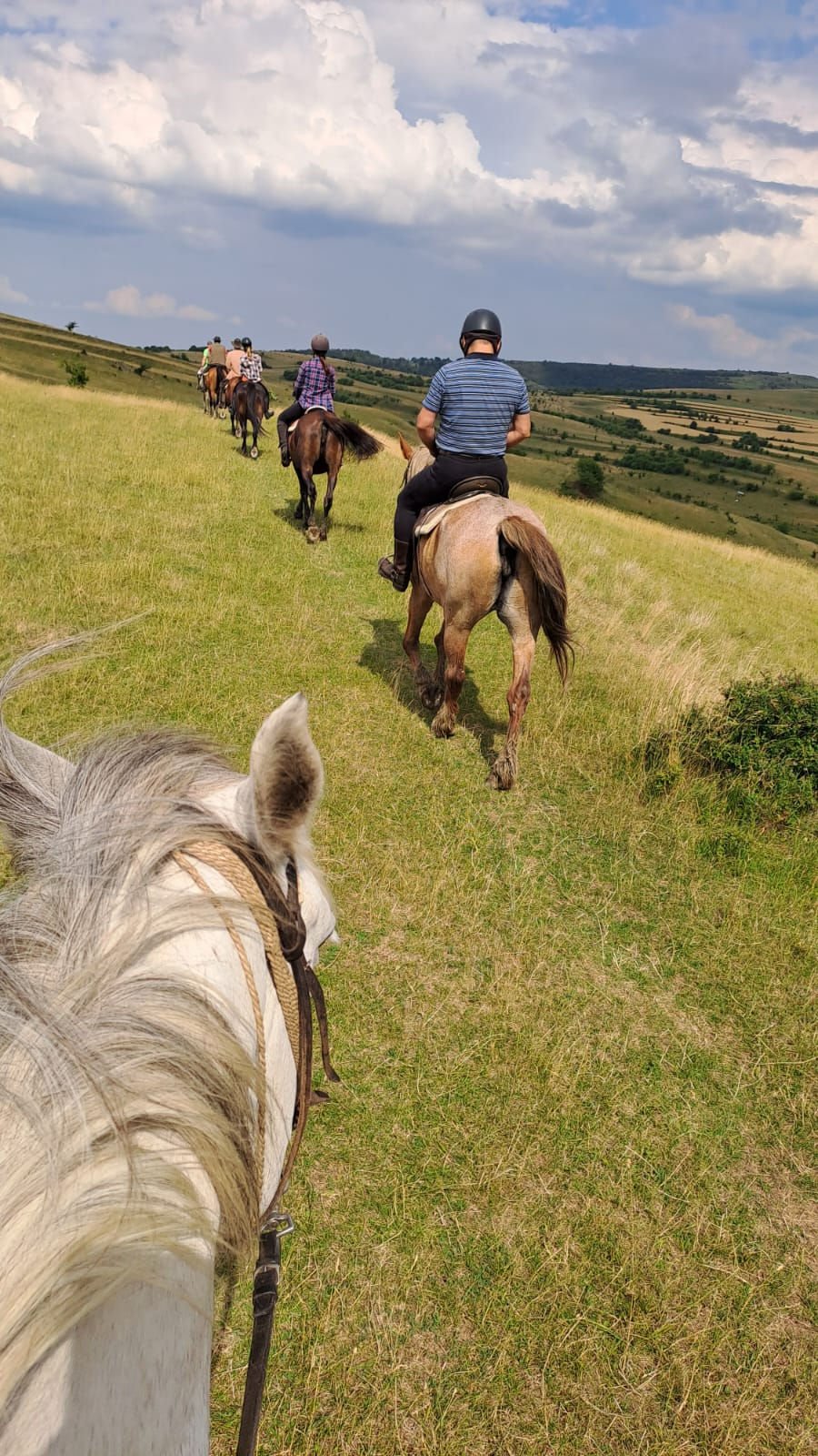 Csapatban lovagolnak ki a nagykalotai lovardából a lovasok •  Fotó: Szabó Bea